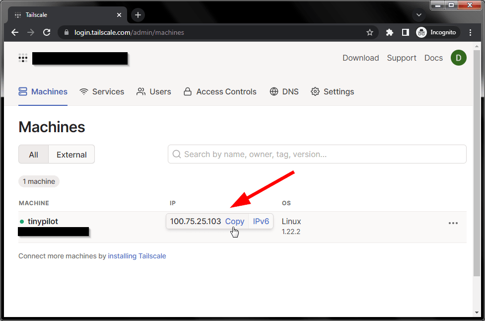 Tailscale Find TinyPilot IP address